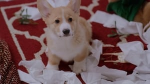 A Very Corgi Christmas