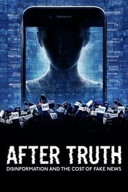 After Truth: Disinformation and the Cost of Fake News