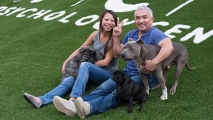 Cesar Millan’s Dog Nation