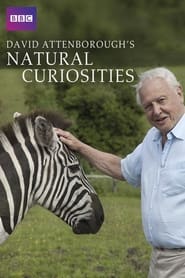 David Attenborough’s Natural Curiosities