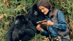 Dian Fossey: Secrets in the Mist