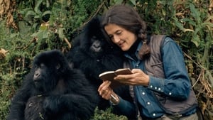 Dian Fossey: Secrets in the Mist