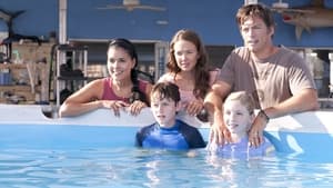 Dolphin Tale