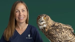 Dr. Oakley, Yukon Vet