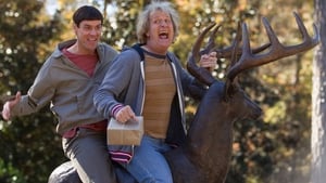 Dumb And Dumber To