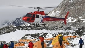 Everest Rescue