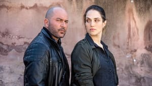 Fauda