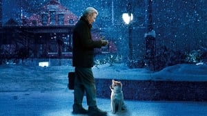 Hachi: A Dog’s Tale