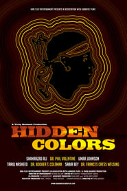 Hidden Colors