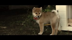 Inu to anata no monogatari: Inu no eiga