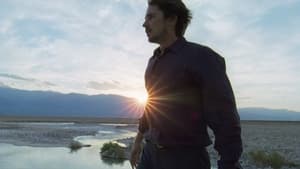 Knight of Cups