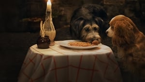 Lady and the Tramp