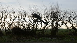 Leaning Into the Wind: Andy Goldsworthy