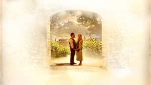 Letters to Juliet