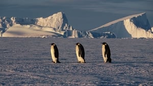 March of the Penguins