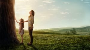 Miracles From Heaven