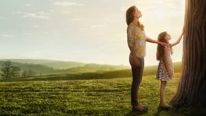 Miracles From Heaven