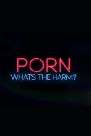 Porn: What’s the Harm?