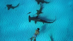 Sharkwater: Extinction