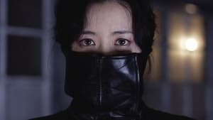 Sympathy for Lady Vengeance