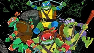 Tales of the Teenage Mutant Ninja Turtles