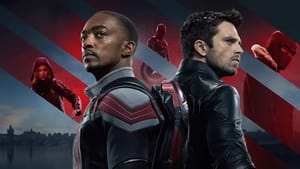 The Falcon and the Winter Soldier