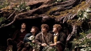 The Lord of the Rings the Fellowship of the Ring