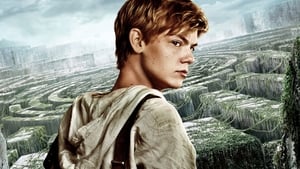 The Maze Runner