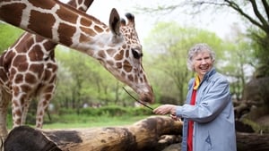 The Woman Who Loves Giraffes