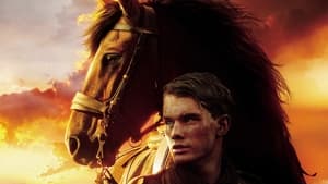 War Horse